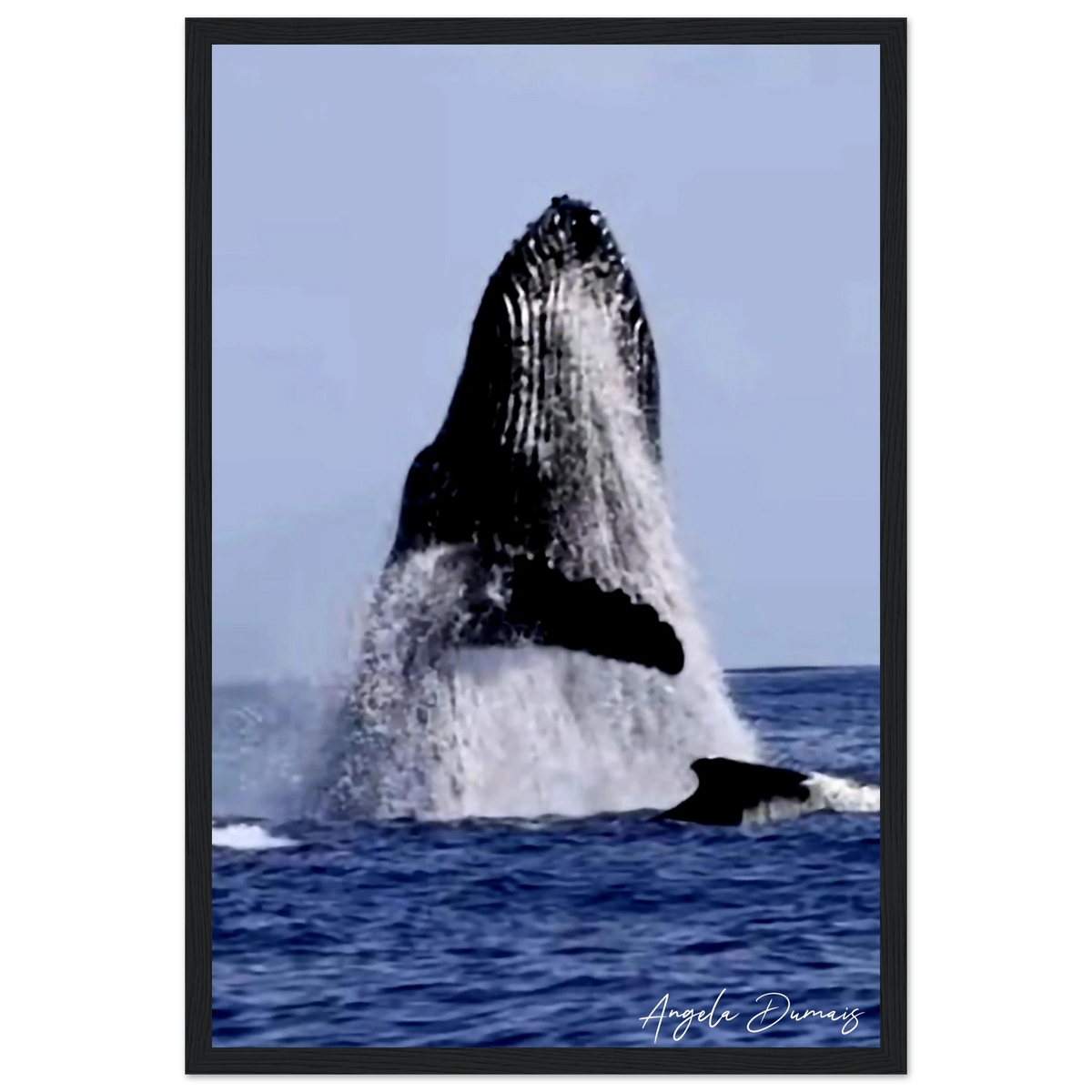 837ba38b-ce49-4c14-b488-43392c67a2ec