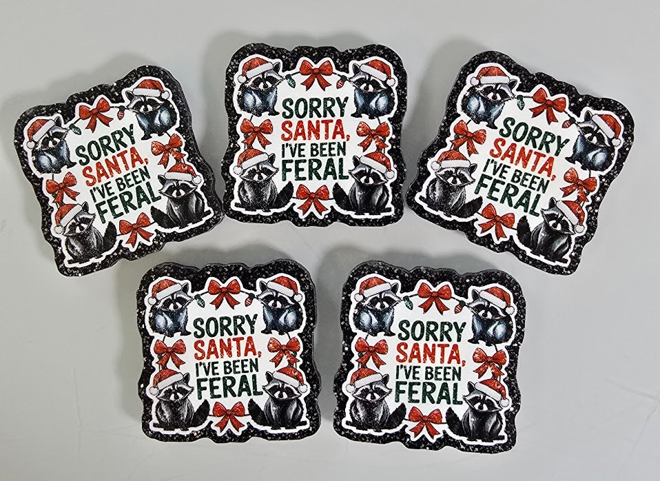 Bogg Bag Charms - Sorry Santa
