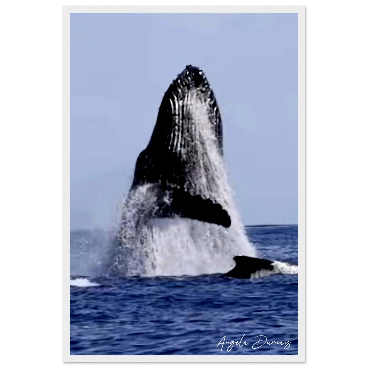 d6ab340d-01b7-4866-81fe-91e910e79792