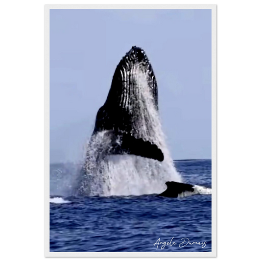d6ab340d-01b7-4866-81fe-91e910e79792